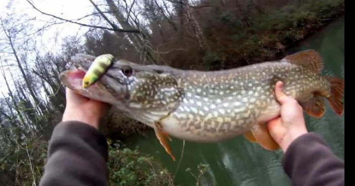 FAIT DIVERS : il pêche d'une étrange manière. Bilan : un membre arraché