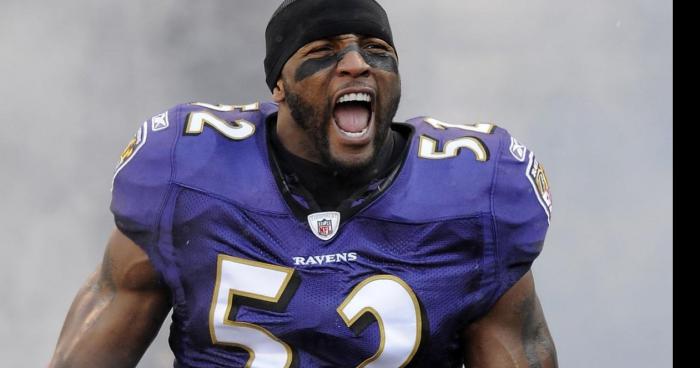 Ray Lewis Come back in the NFL