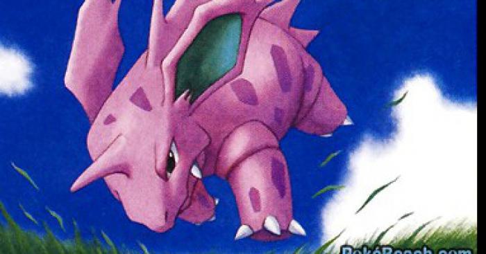 Mordu par un Nidorino. Nouvelle loi anti-Nidorino.