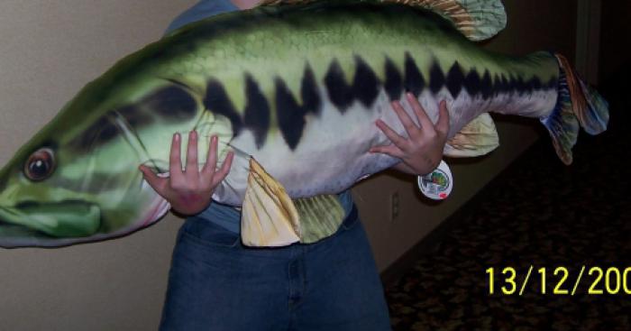 The biggest fish in memphre caught by Yvan Pouliot from Potton Quebec