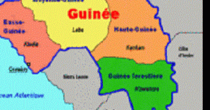 Élection en Guinée