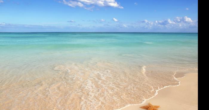 Il prend son bain dans la manche