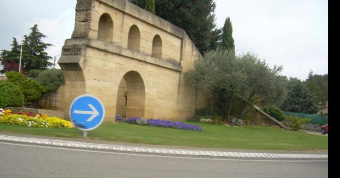 Un sanglier de 100kg attaque un employé de mairie a à alès sans le gard