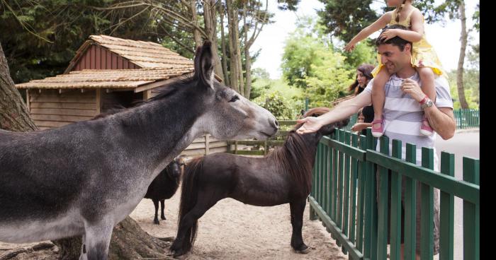 Moliets: La ferme de Pierre et Vacances en péril