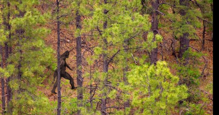 BIGFOOT à Marly la Ville ??