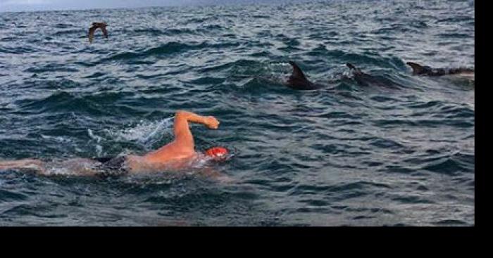 Des requin à canet et St Marie