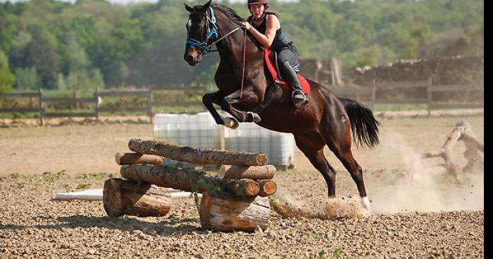 Plus d'équitation en 2016 ?