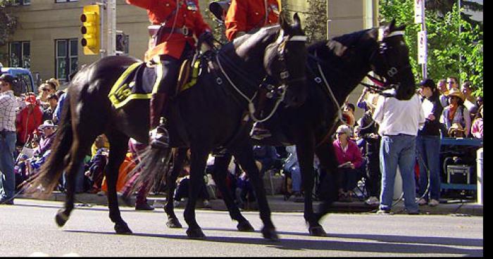 Un cheval nommé sénateur à Ottawa