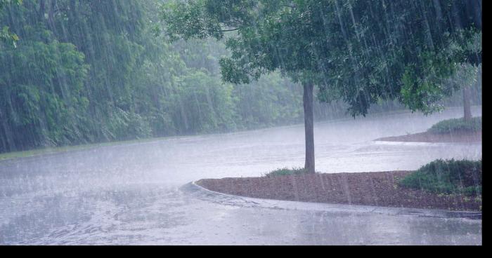 Faites attention, la pluie est contagieuse!