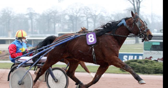 Arrivée du Prix d’Amérique 2016: Le sacre pour Bold Eagle