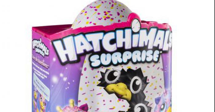 Un vrai oeuf dans un Hatchimals rend un enfant malheureux