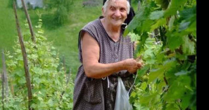 Cannabis vendu par une mamie !