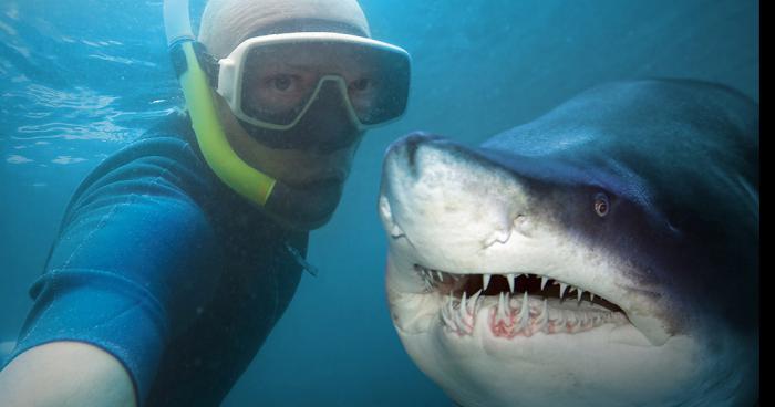 ADOPE TON REQUIN : devenir propriétaire pour protéger les requins de l'île de la Réunion