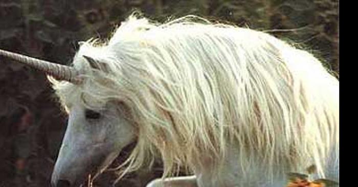 Une Licorne à été vu pas loin de campagne des Grenoble