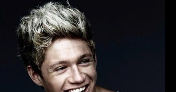 Niall Horan et une jeune fille mystérieuse