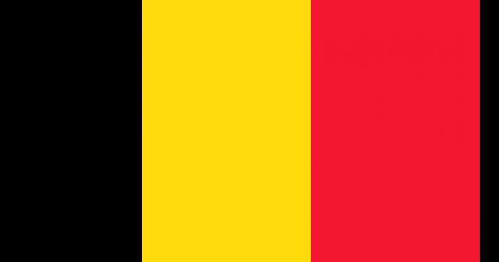 LA BELGIQUE EN FINALE!!!