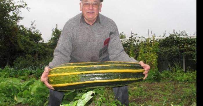 La courgette fait grandir !