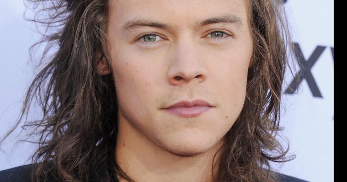 Harry Styles quitte les One Direction !