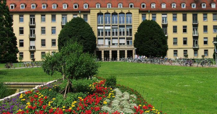 Record battu du plus beau jardin en janvier