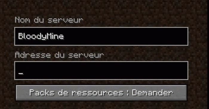 Un serveur qui a fait le buzz en peu de temps..