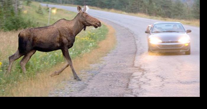 Accident de la route