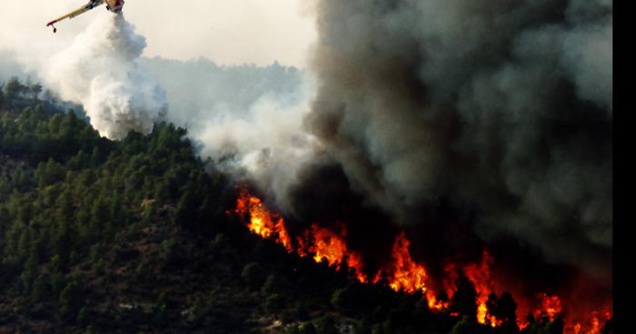 Le barbecue tourne au drame