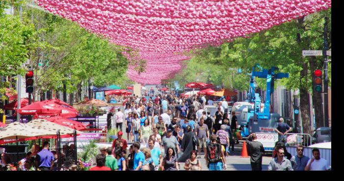 La SDC décrochera les Boules Roses cette semaine!