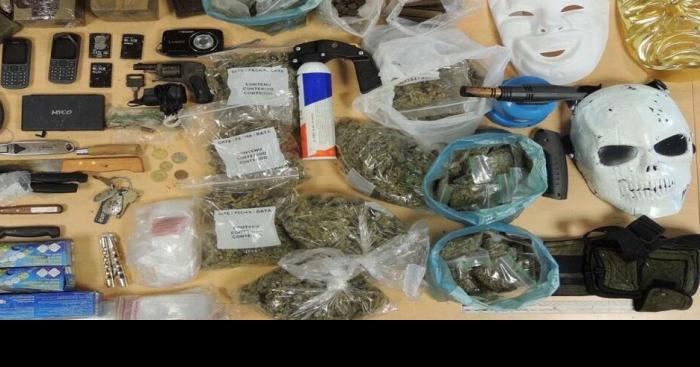 Trafic de drogue : 14 kg de résine de cannabis saisis par la police de Poitiers  14 kg de résine de cannabis, des espèces et une réplique de pistolet automatique : la prise des policiers de Poitiers / © Direction Centrale de La Sécurité Publique