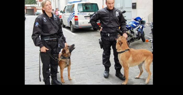 Ce mardi 20 octobre 2015 alexis seidoff s enfui menotté du commissariat de police de namur vers 8h ce matin, après avoir été pour un fait de coup et blessure volontaire et port illégal d arme blanche a feu ou non, celui est toujours en fuite et activement rechercher par les service de police, si vous avez des informations veuillez contacté les service de police, ce jeune homme etait vétu d un pull blanche d un pantalon bleu foncé et des chaussures noir.