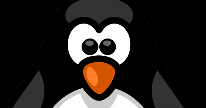 Pinguin