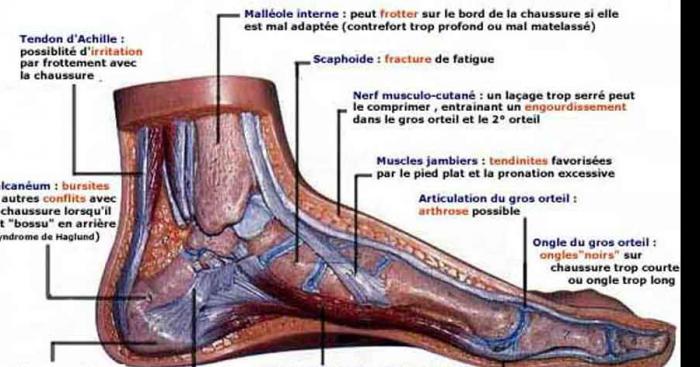 Un forcené à Soye fait une crise