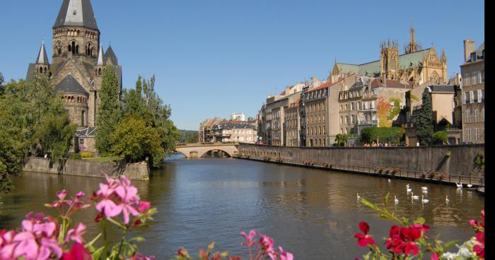 Étrange créature inconnue dans la Moselle aperçu à metz.