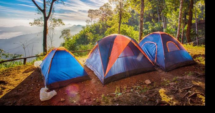 Didier du camping de Mejannes est amoureux