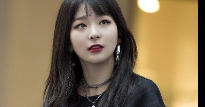 L'IDÉAL MASCULIN POUR SEULGI DE RED VELVET