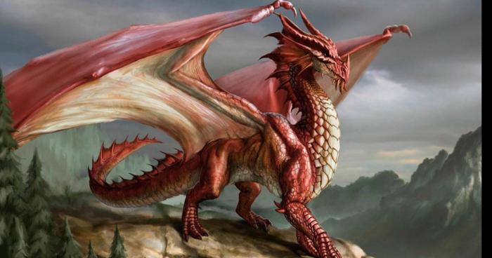 Un dragon à st Colomban