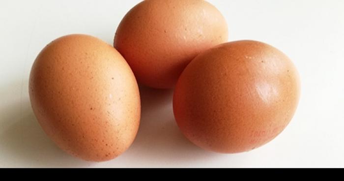 Des œufs contaminés au mercure retrouvés en France