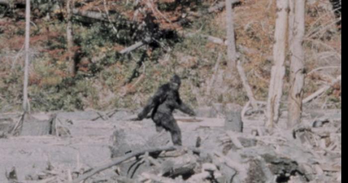 Un Yeti à été aperçu au Lac-Mégantic au Québec.