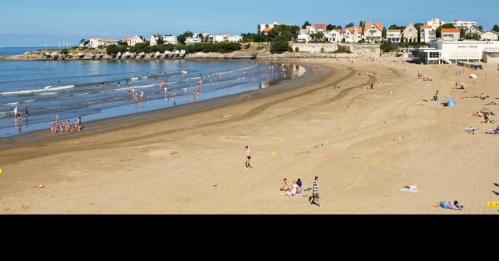 Requins en France