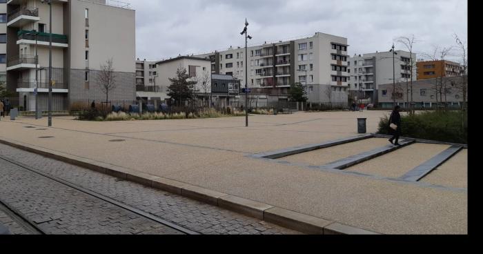 Arrestation musclée â Reims