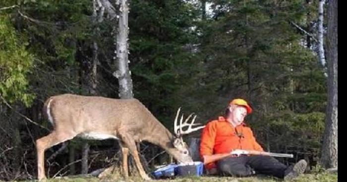 Un nouveau chasseur abattu dans les Alpes-Maritimes.