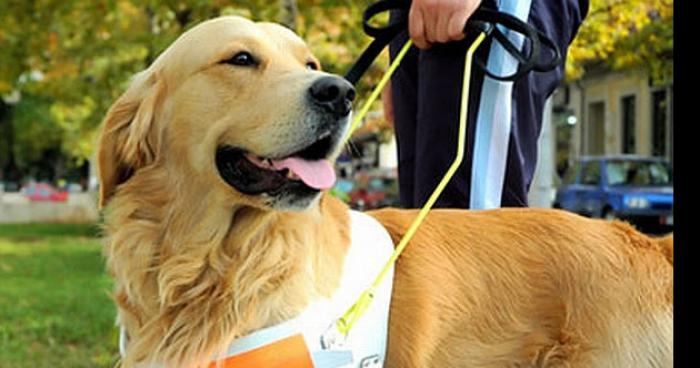 Un malvoyant arbitre un match de football sans son chien !!!