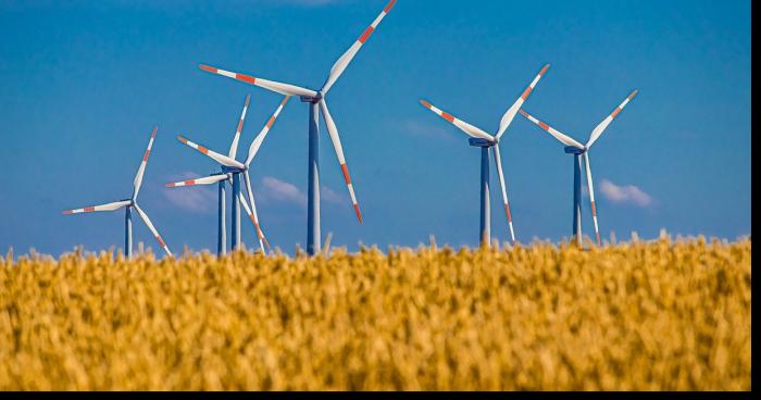 Les 24 éoliennes du parc de la Basse-Marche vont bientôt voir le jour grâce au commercial de Selectra Théo Odéant