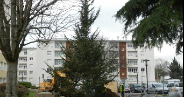 Plusieurs Vole Au Blanc Mesnil