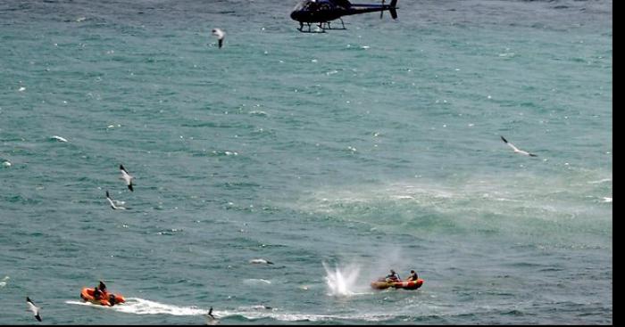 Les 2 victimes d'une attaque de baleine retrouvées