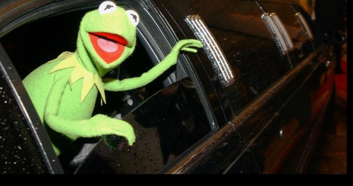 Exclusif : Le célèbre Kermit vient d'annoncer sa candidature à l'élection présidentielle 2022