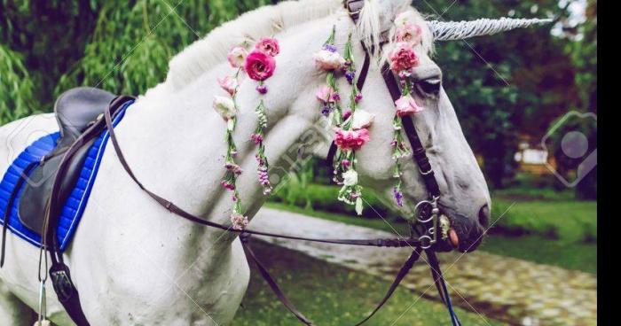 Une licorne retrouver à Peillac au Morbihan