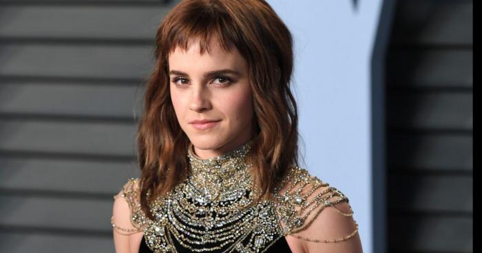 Emma Watson posera nue si la Team Vlad l'emporte