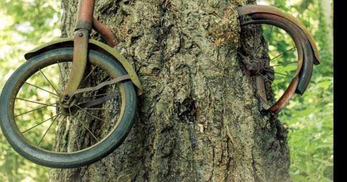 Un cycliste perd son vélo dans un arbre