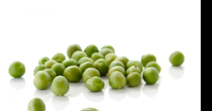 Prolifération de petit pois