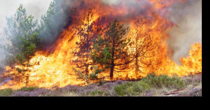 Début de feu à Monfort-le-gesnois !